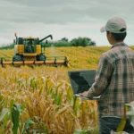 EarthWise Climate Strategy