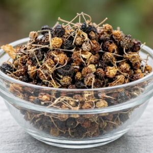 Black Night Shade Seed