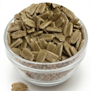 Bottle gourd Round large Seed