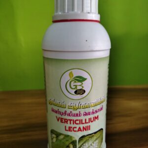 Verticillium Lecanii